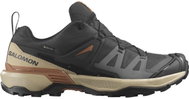 Salomon X Ultra 360 GTX Phantm/Sfari/Caram - Running Shoes