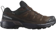 Salomon X Ultra 360 LTR GTX Dkeart/DlcIso - Trekking Shoes