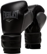 Everlast Powerlock 2 Training Gloves 14 oz, Black - Boxing Gloves