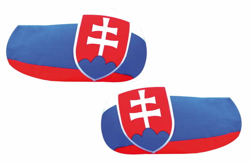 SPORTTEAM® Cover for car mirrors SR - Cheering Tool - Main image
