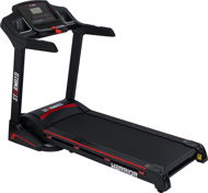 Stormred Warrior - Treadmill