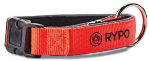 Rypo Nylon orange M - Dog Collar - Main image