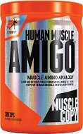Extrifit Amigo 300 - Aminokyseliny