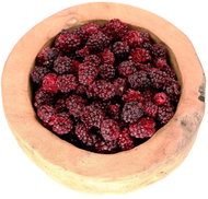 WORLD OF NUTS Blackberries whole freeze-dried 100g - Freeze-Dried Fruit