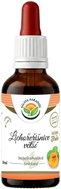 Salvia Paradise Greater Nasturtium AF Tincture 50ml - Herbal Drops