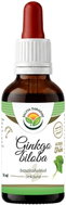 Salvia Paradise Ginkgo Biloba AF Tincture 50ml - Ginkgo Biloba