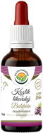 Salvia Paradise Valerian AF Tincture 50ml - Herbal Drops