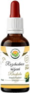 Salvia Paradise Rhodiola Rosea AF Tincture 50ml - Rhodiola Rosea