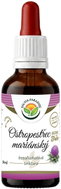 Salvia Paradise Milk Thistle AF Tincture 50ml - Milk Thistle