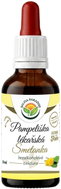 Salvia Paradise Dandelion AF Tincture 50ml - Herbal Drops