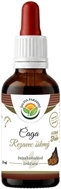 Salvia Paradise Chaga Inonotus Obliquus AF Tincture 50ml - Chaga