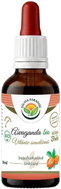 Salvia Paradise Ashwagandha Tincture BIO 50ml - Ashwagandha