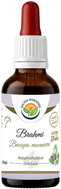 Salvia Paradise Bacopa Monnieri Brahmi AF Tincture 50ml - Herbal Drops