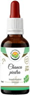 Salvia Paradise Chanca Piedra AF Tincture 50ml - Herbal Drops