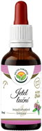Salvia Paradise Red Clover AF Tincture 50ml - Herbal Drops