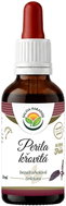 Salvia Paradise Shiso Perilla AF Tincture 50ml - Herbal Drops