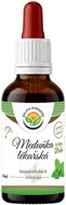 Salvia Paradise Lemon Balm AF Tincture 50ml - Herbal Drops