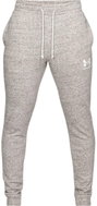 Under Armour Sportstyle Terry Jogger, Grey/White, size XXXL - Sweatpants