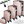 Scale - set of 4 - pink - gold