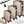 Weight - set of 4 - champagne