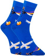 Dots Socks DTS-SX-416-N, Blue, size 39-42 (1 pair) - Socks