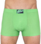 Styx Q665 - Green - Boxer Briefs