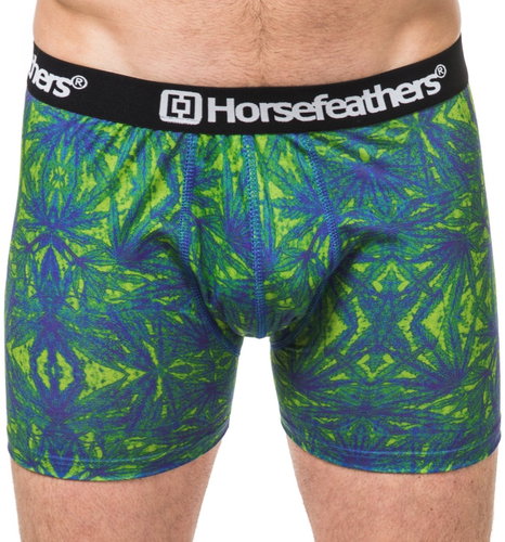Horsefeathers AA901H, Green, size XL - Boxer Briefs - Main image