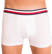 Tommy Hilfiger UM0UM00302 100, White, size L - Boxer Briefs