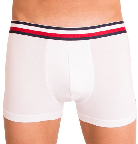 Tommy Hilfiger UM0UM00302 100, White, size L - Boxer Briefs - Main image