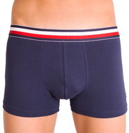 Tommy Hilfiger UM0UM00302 416, Blue, size L - Boxer Briefs