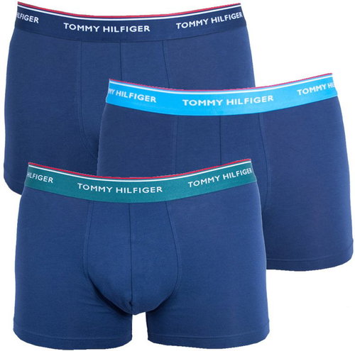 Tommy Hilfiger 3Pack 1U87903842 358, Blue, size S - Boxer Briefs - Main image