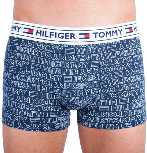 Tommy Hilfiger UM0UM00504 416, Blue, size L - Boxer Briefs - Main image