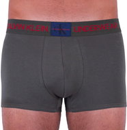 Calvin Klein NB1678A-TBY, green S - Boxer Briefs