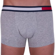 Tommy Hilfiger UM0UM01370 004, Grey - Boxer Briefs