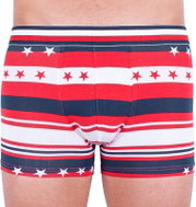 Tommy Hilfiger UM0UM01382 611, Multicoloured - Boxer Briefs