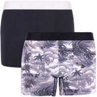 Levis 2Pack 995005001 703 - Grey & Black Palm Trees/Black, Mixed Pack - Boxer Briefs