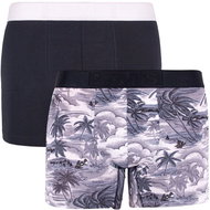 Levis 2Pack 995005001 703 - Grey & Black Palm Trees/Black, Mixed Pack, size M - Boxer Briefs
