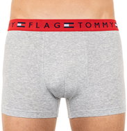 Tommy Hilfiger UM0UM01367 004, gray XL - Boxer Briefs