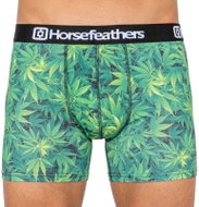 Horsefeathers AM070E, Green - Boxer Briefs