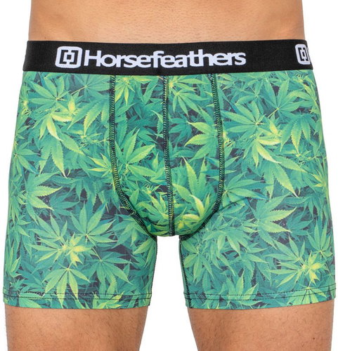 Horsefeathers AM070E, green XL - Boxer Briefs - Main image