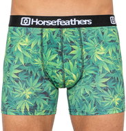 Horsefeathers AM070E, green M - Boxer Briefs