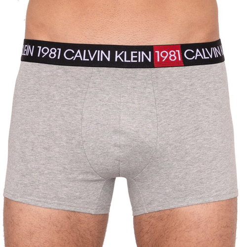 Calvin Klein NB2050A-080, Grey, size L - Boxer Briefs - Main image