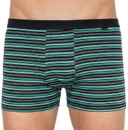 Andrie PS 5255b, Green, size M - Boxer Briefs