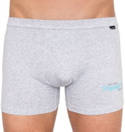 Andrie PS 5216c, gray L - Boxer Briefs