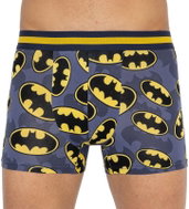 Dedoles Good Mood WBMT010 - Batman Logo, Multicoloured, size XL - Boxer Briefs