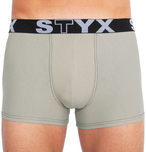 Styx G1062, Grey, size L - Boxer Briefs - Main image