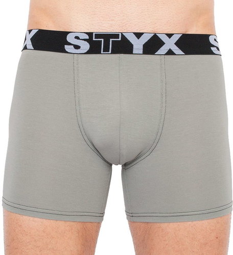 Styx U1062, Grey, size XL - Boxer Briefs - Main image