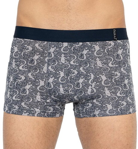 Molvy MP-1019-BEU, Multicoloured - Boxer Briefs - Main image