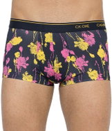 Calvin Klein NB2225A-SW2, Multicoloured, size L - Boxer Briefs