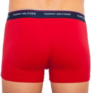 Tommy Hilfiger 3Pack 1U87903842 0WD, Multicoloured, size L - Boxer Briefs